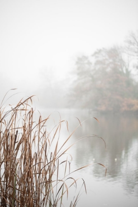 Picture of AT THE LAKE