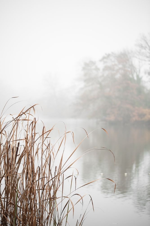 Picture of AT THE LAKE