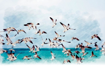 Picture of GAVIOTAS Y MAR