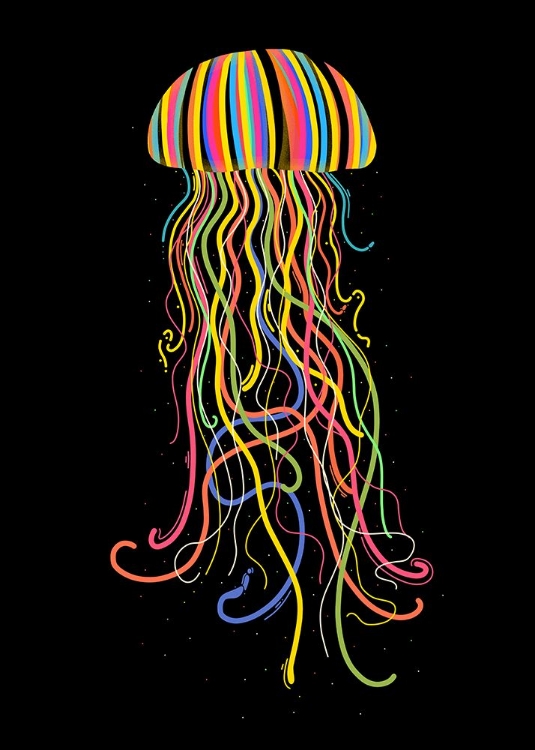 Picture of RAINBOW JELLYFISH