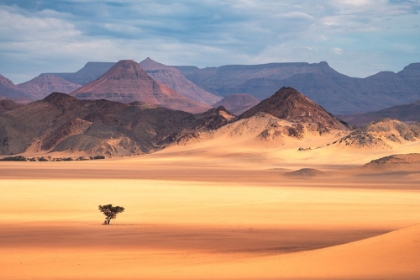 Picture of NAMIBIA - SOLITUDE