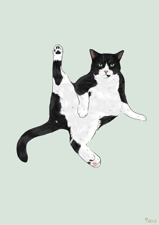 Picture of YOGA CAT