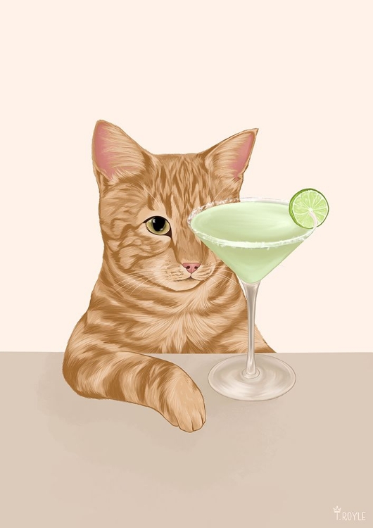 Picture of GINGER CAT WITH MARGARITA COCKTAIL