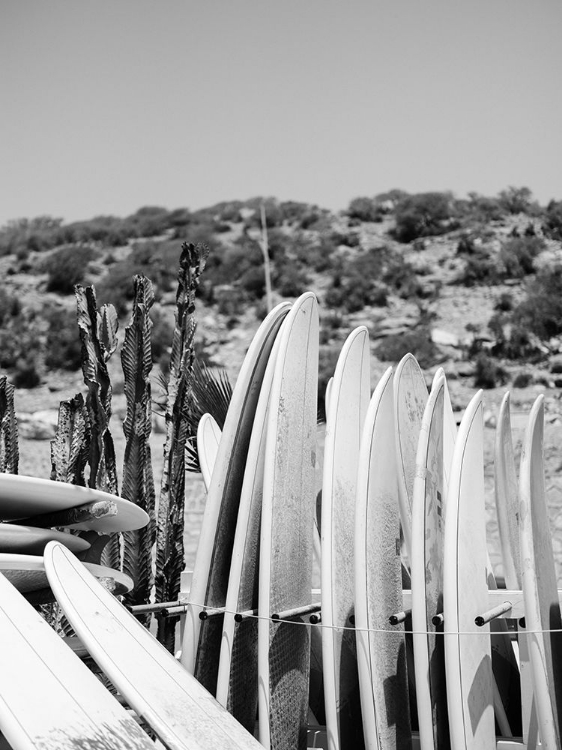 Picture of SURFBOARDS IN BLACK AND WHITE