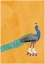 Picture of PEACOCK ROLLERSKATING