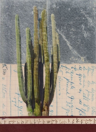 Picture of CACTUS II