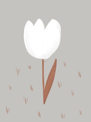 Picture of WHITE TULIP 18X24