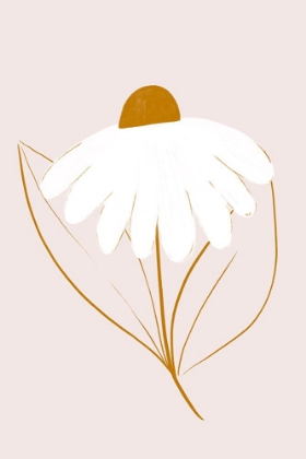 Picture of WHITE DAISY 24X36