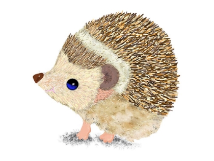 Picture of HEDGEHOG