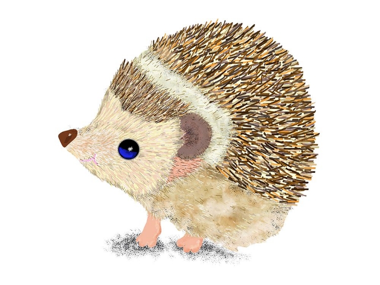 Picture of HEDGEHOG