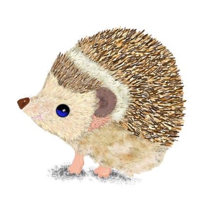 Picture of HEDGEHOG