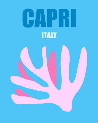 Picture of CAPRI