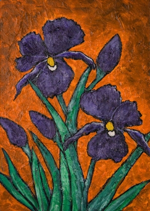 Picture of IRISES