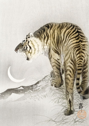 Picture of ROARING TIGER