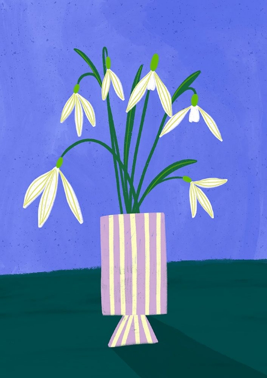 Picture of SNOWDROPS