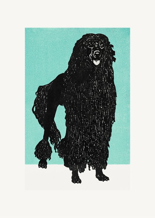 Picture of POODLE