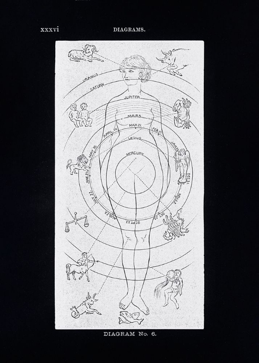 Picture of SOLAR BIOLOGY NO. 6 BLACK (CREATIVE ED)