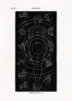 Picture of SOLAR BIOLOGY NO. 6