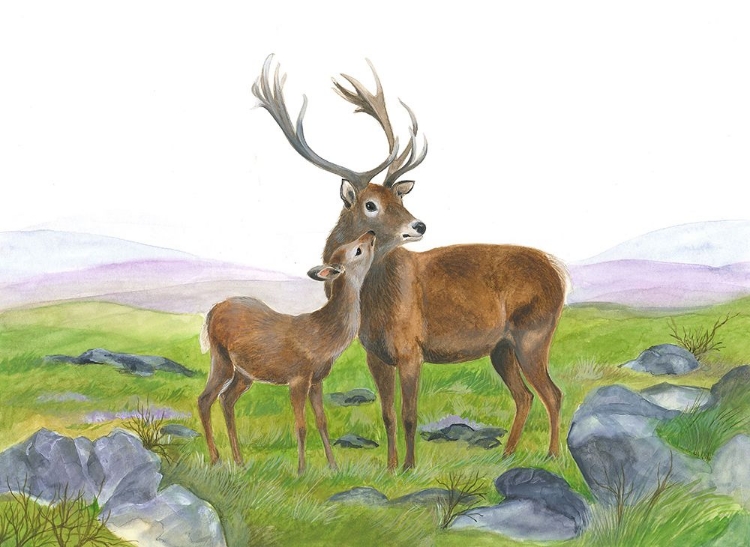 Picture of STAG AND YOUNG HIND