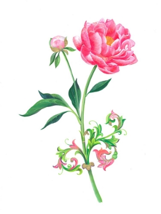 Picture of PINK PEONY