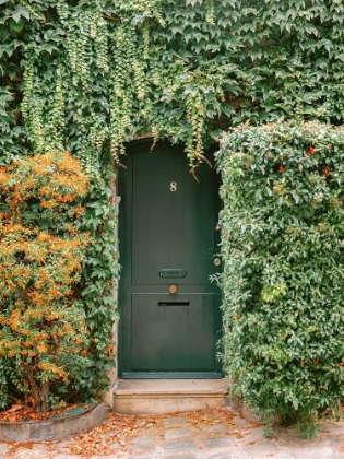 Picture of IVY COVERED HOUSE IN MONTMARTRE PARIS