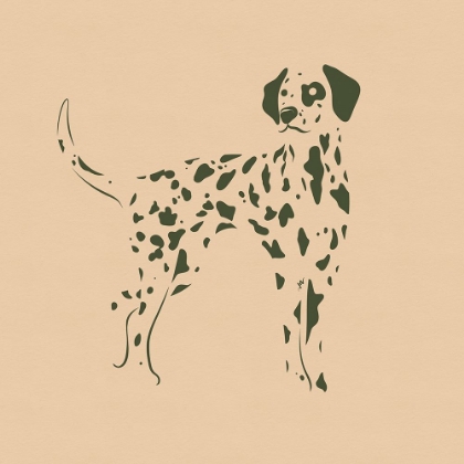 Picture of DALMATIAN