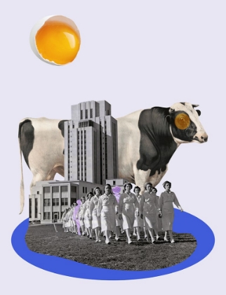 Picture of COW IN THE CITY