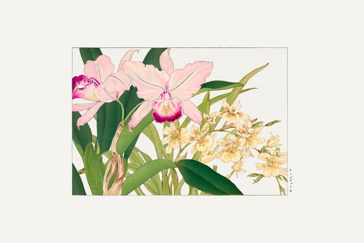 Picture of ONCIDIUM WOODBLOCK PAINTING