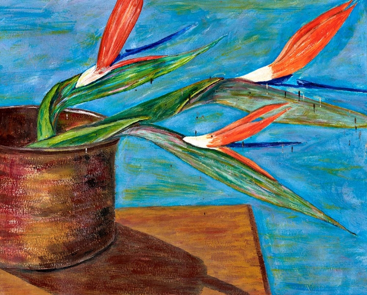 Picture of STRELITZIA BY COLLEEN HEFER