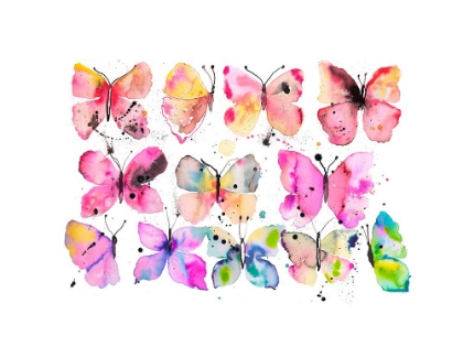 Picture of BUTTERFLIES SPLATTER WATERCOLOR