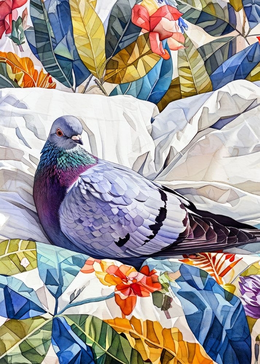 Picture of ANIMAL WATERCOLOR ART BIRD DOVE PIGEON 1