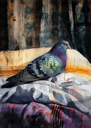 Picture of ANIMAL WATERCOLOR ART BIRD DOVE PIGEON 3