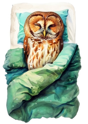 Picture of ANIMAL WATERCOLOR ART BIRD SLEEPING OWL