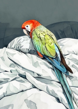 Picture of ANIMAL WATERCOLOR ART BIRD SLEEPING PARROT