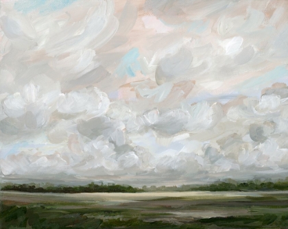 Picture of MUTED PRAIRIE