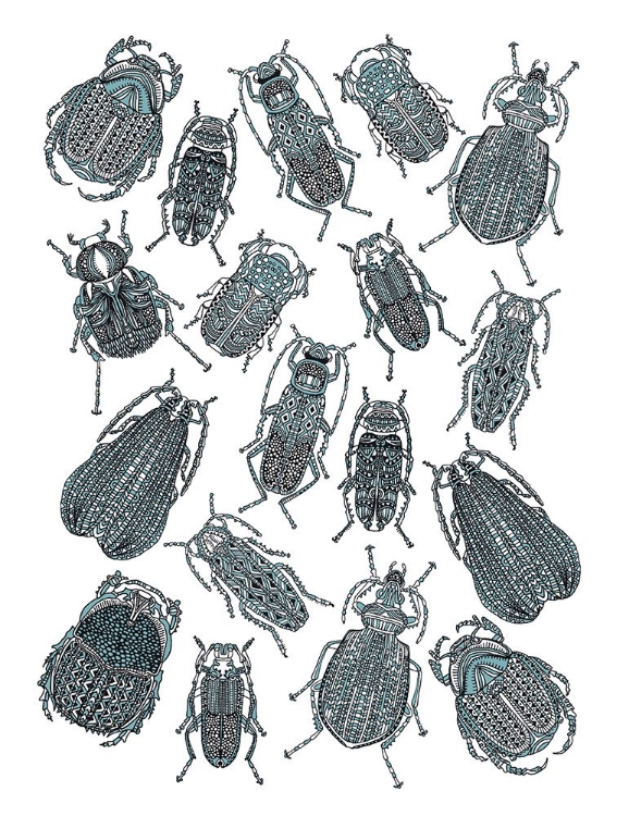 Picture of INSECTS