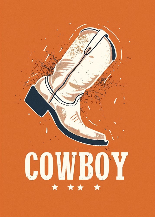 Picture of COWBOY BOOTS VINTAGE