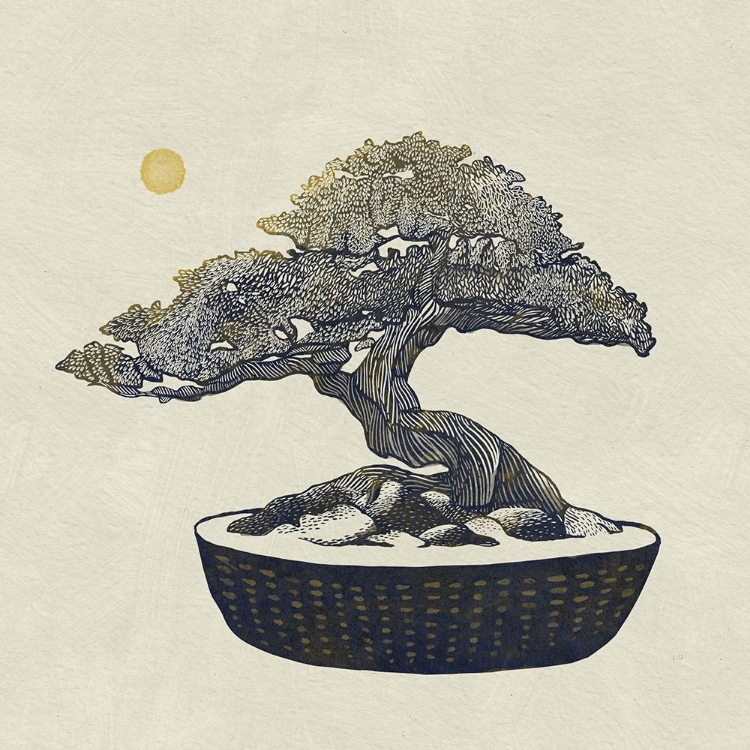 Picture of BONSAI TREE