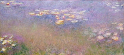 Picture of CLAUDE MONETS WATER LILIES