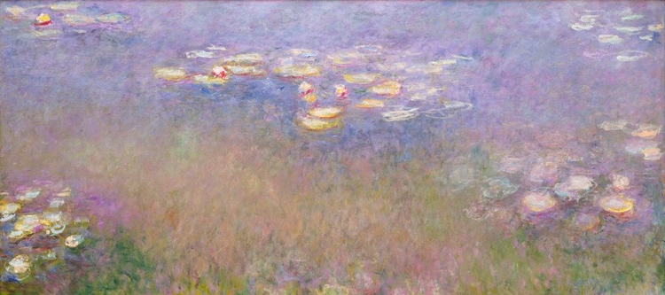 Picture of CLAUDE MONETS WATER LILIES