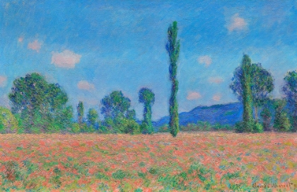 Picture of POPPY FIELD