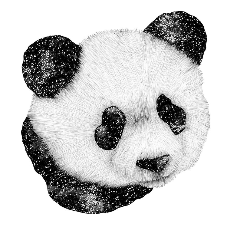 Picture of COSMIC PANDA SQUARE