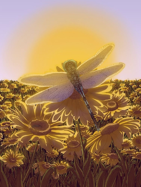 Picture of DRAGONFLY AT SUNRISE LARGE