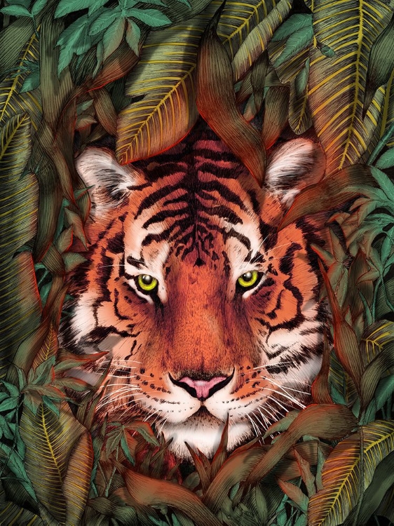 Picture of JUNGLE TIGER MAJESTY COLOUR ORIGINAL