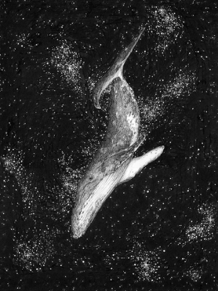 Picture of MAGIC OCEAN WHALE LARGE