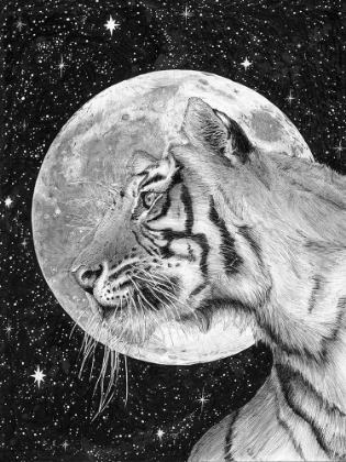 Picture of MOON AND TIGER ORIGINAL