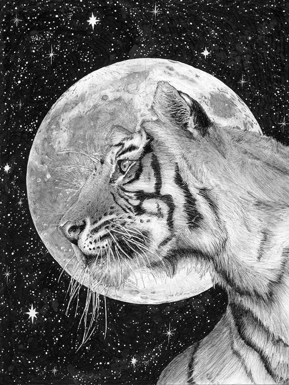 Picture of MOON AND TIGER ORIGINAL