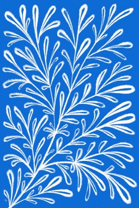 Picture of BLUE WHITE PLANT