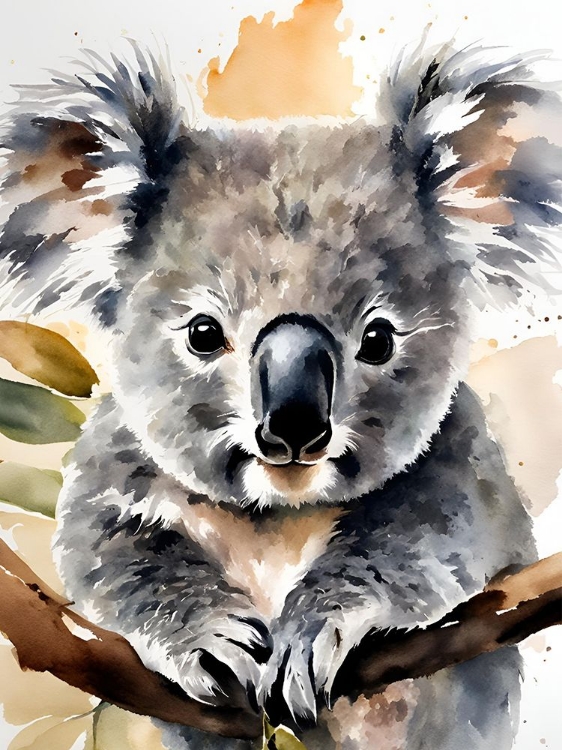 Picture of LITTLE KOALA AQUARELL