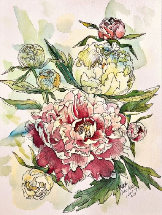 Picture of GENTLE PEONIES